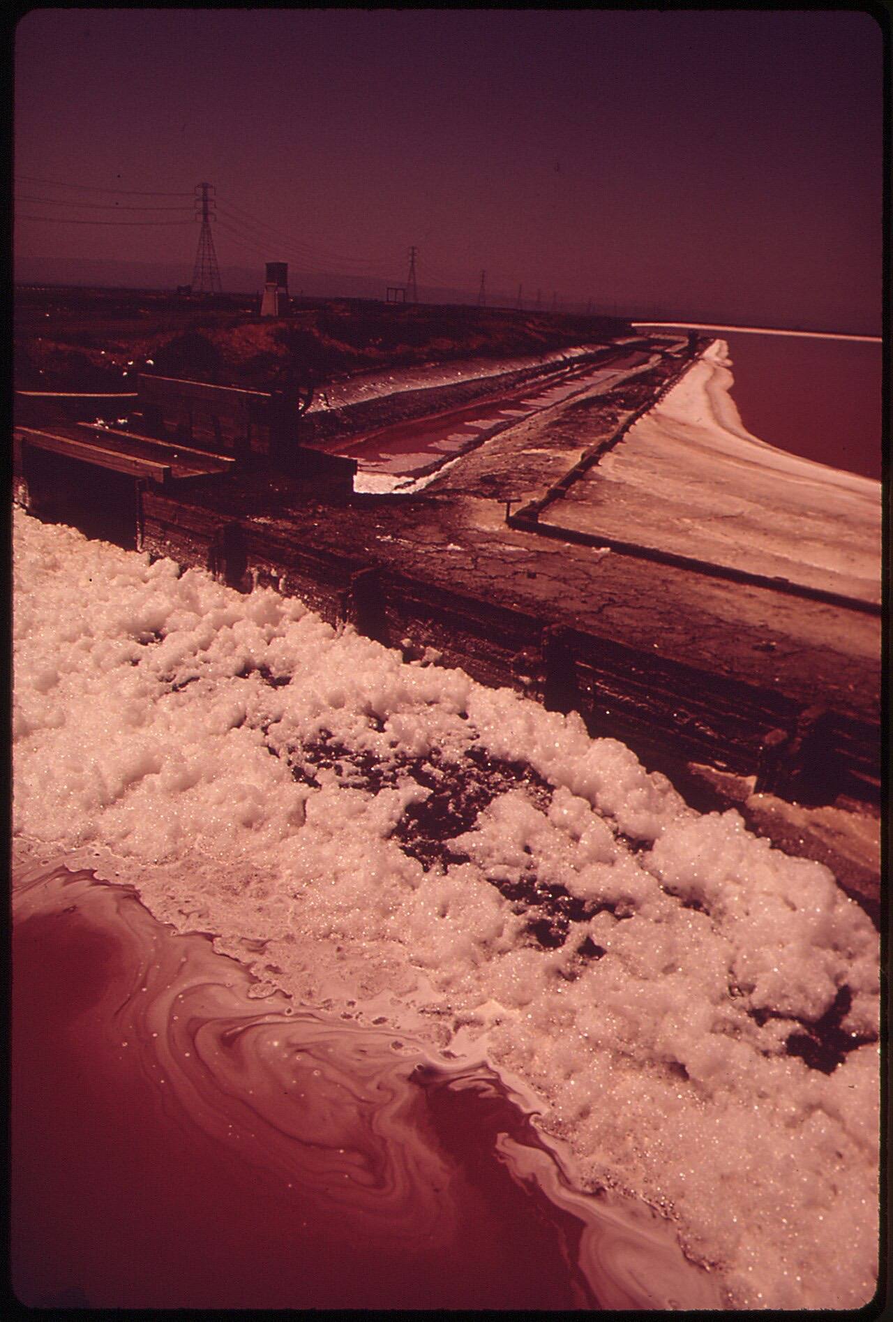 Industry Has Heavily Polluted the San Francisco Bay Area