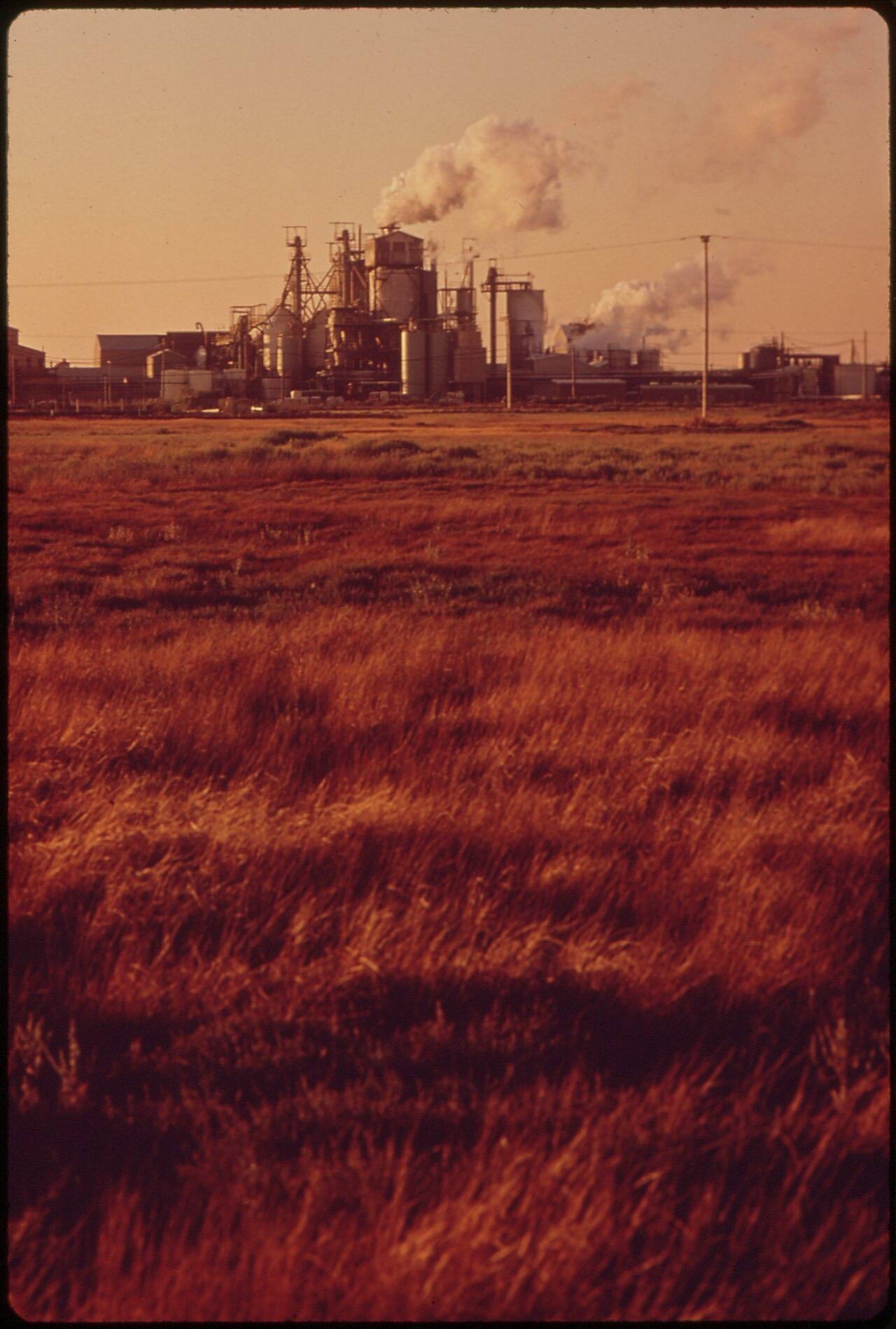 Marsh Grass and Smoking Factory