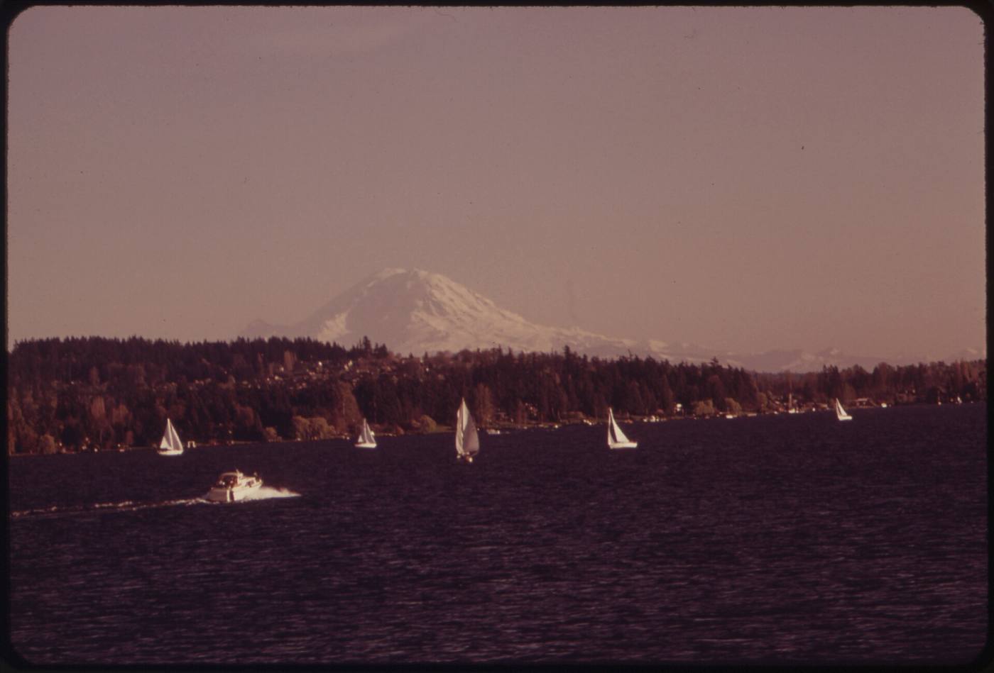 Sailing on Lake Washington. in the Background is Mt. Rainier