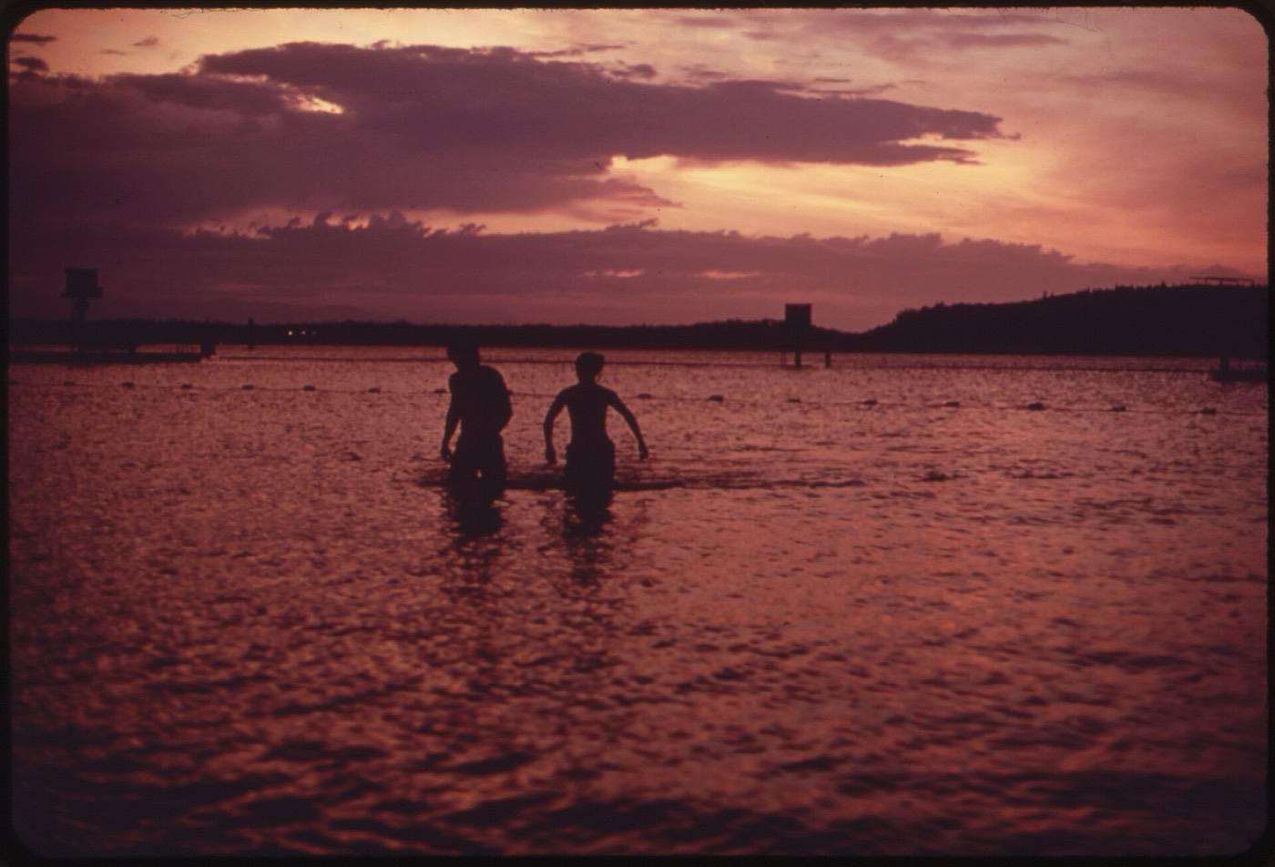 Swimmers at Sunset at Renton Beach Park on Lake Washington. Lake Washington Was Dying of Pollution Caused by Sewage....