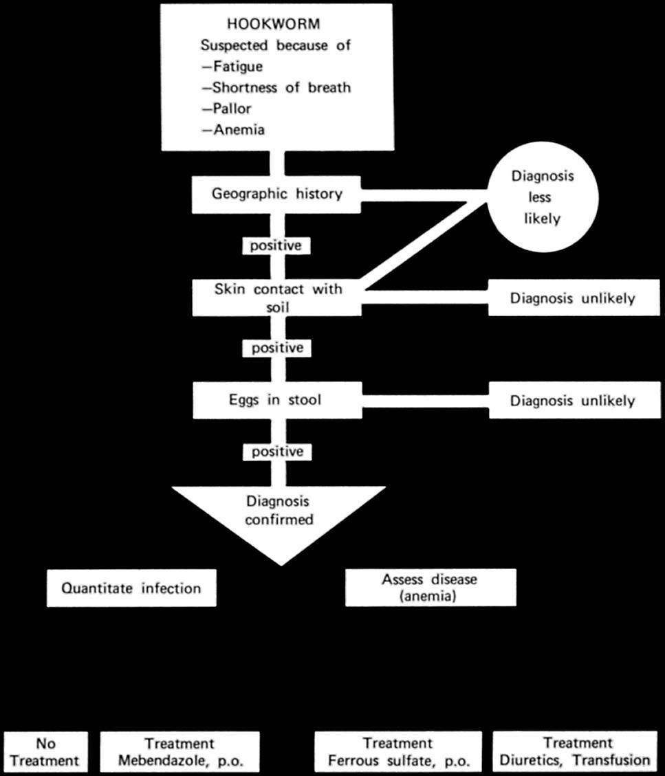CDC Hookworm Treatment Protocol(5245)