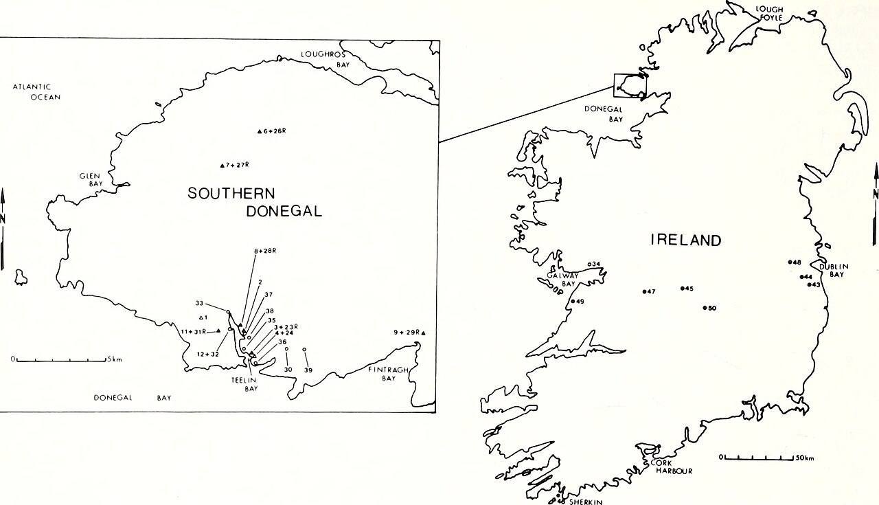 American malacological bulletin (1987)