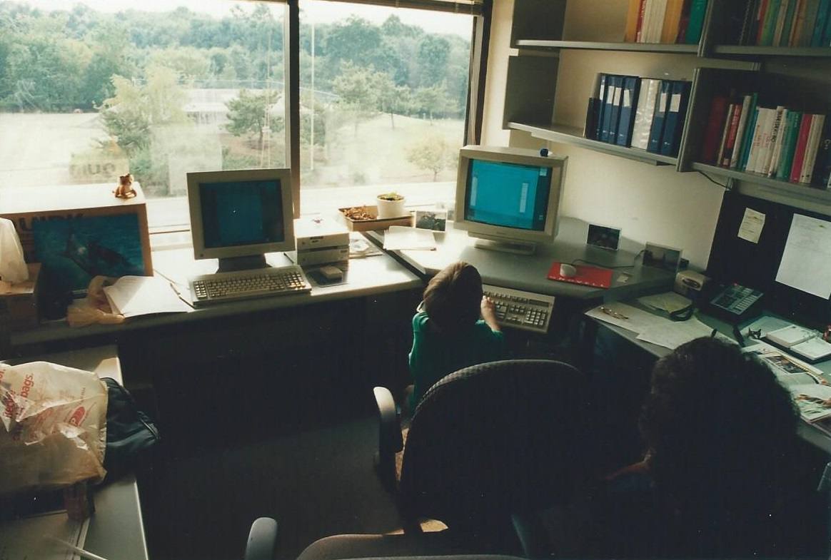 Novell interior and outside of window Exxon grounds exterior at Florham Park New Jersey office -- 5 September 1995