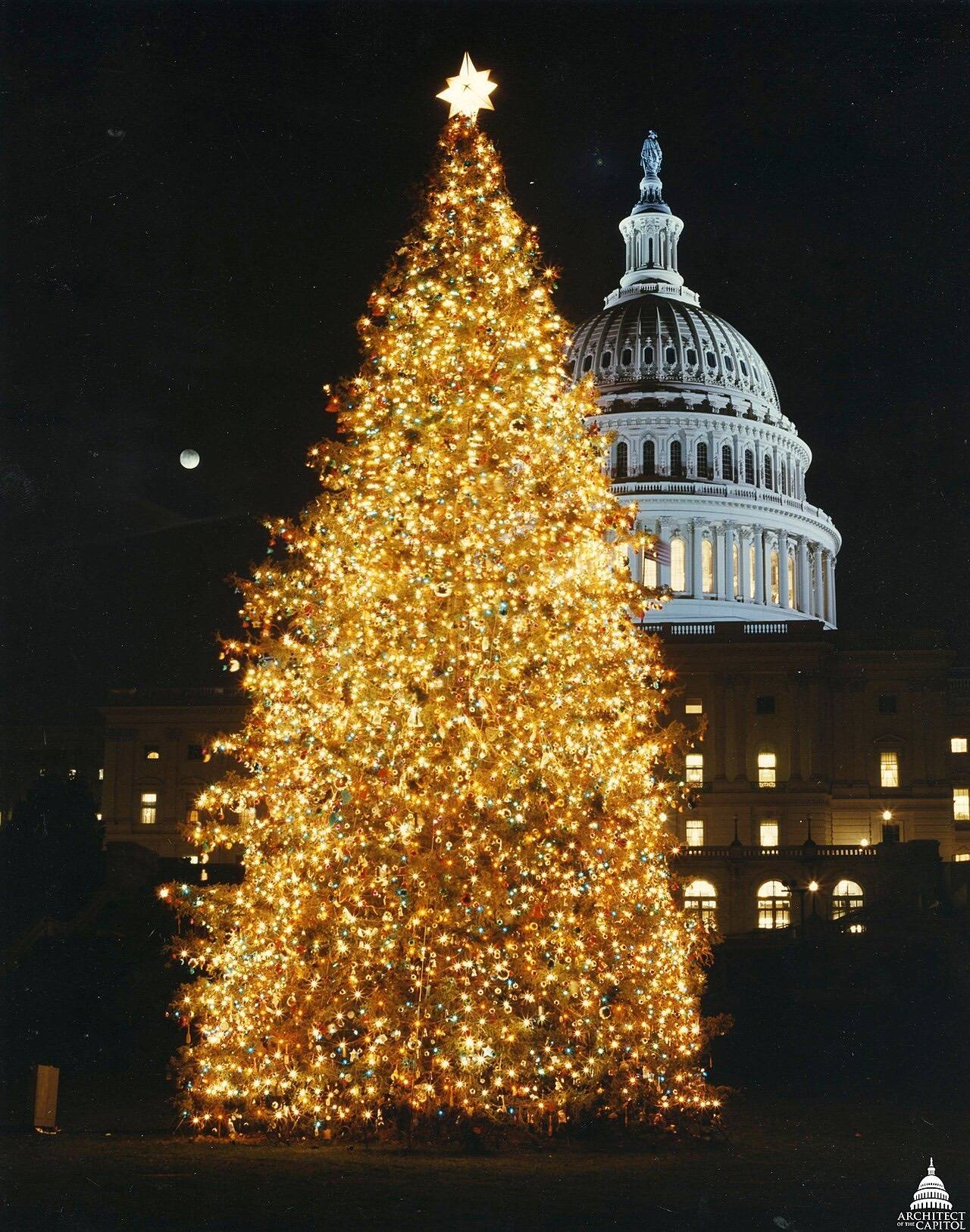 1992 U.S. Capitol Christmas Tree