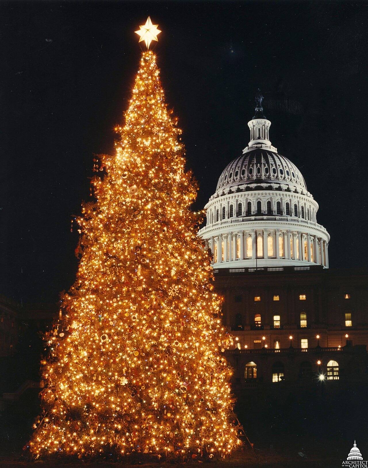 1994 U.S. Capitol Christmas Tree