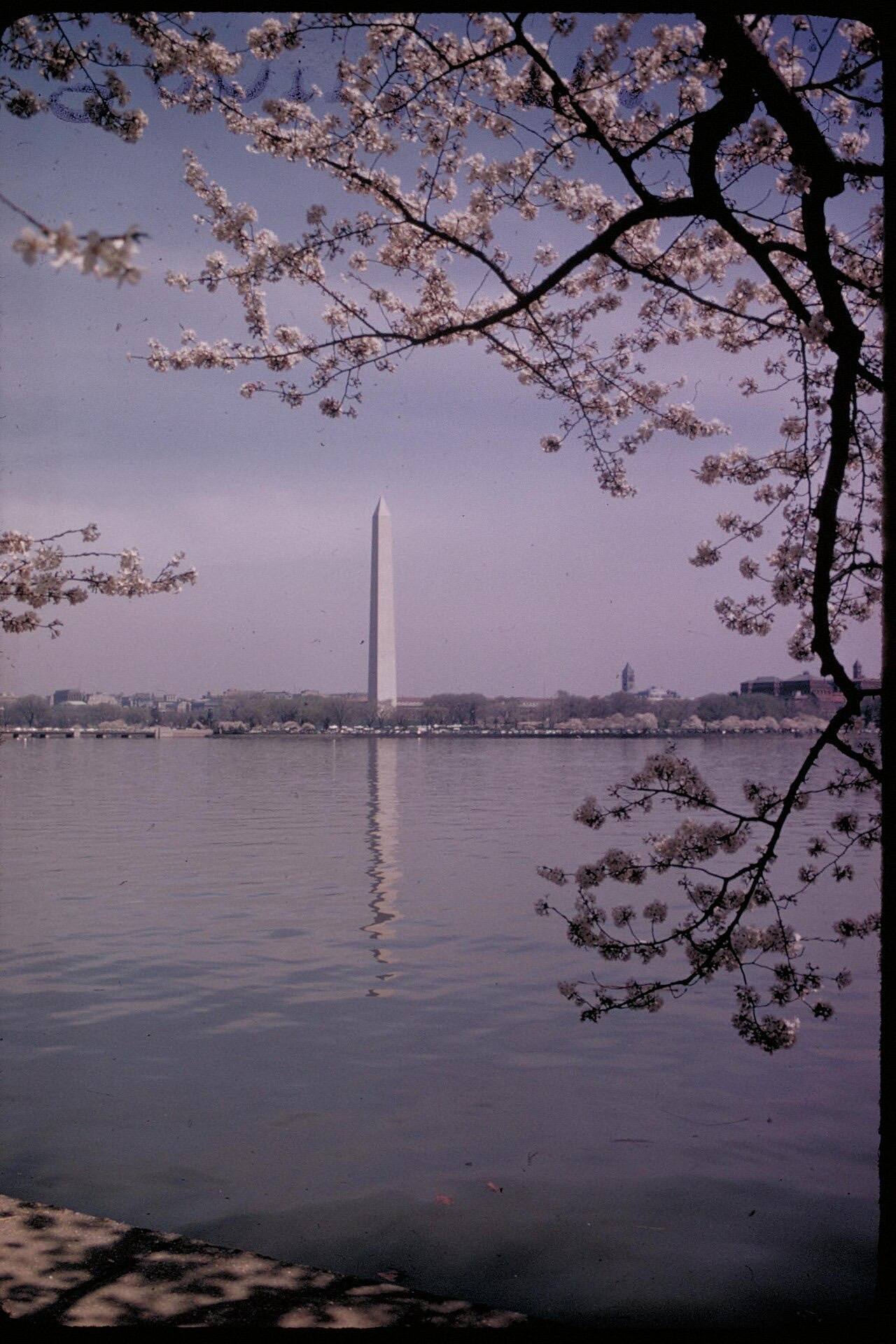 Washington Monument, Washington, D.C. (10086556-6480-4f20-91d9-7bc712e51982)