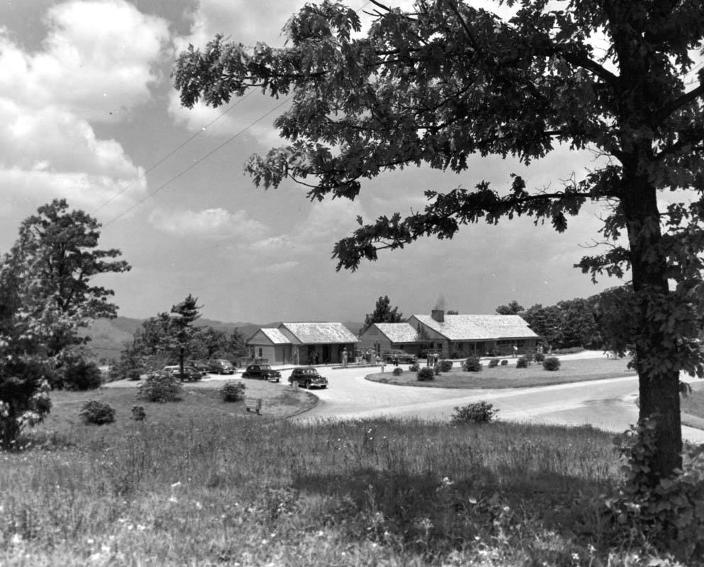 Coffee Shop and Service Station landscape, circa 1949 (8fd605d3-a0ba-a45b-2e0d-d62ce93d07ee)