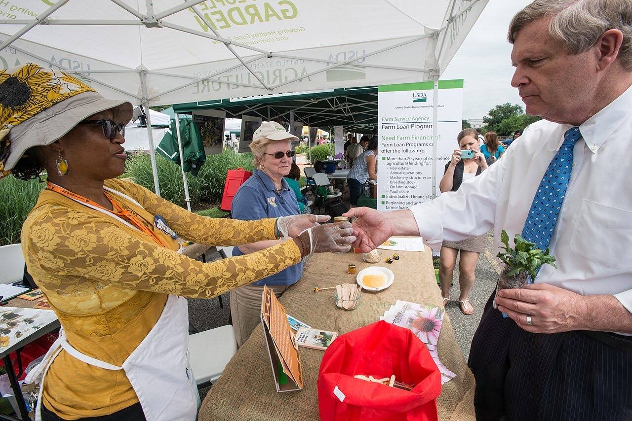 Pollinator Festival at USDA Farmer's Market and Night Farmers Market) (20150619-OSEC-LSC-0095)