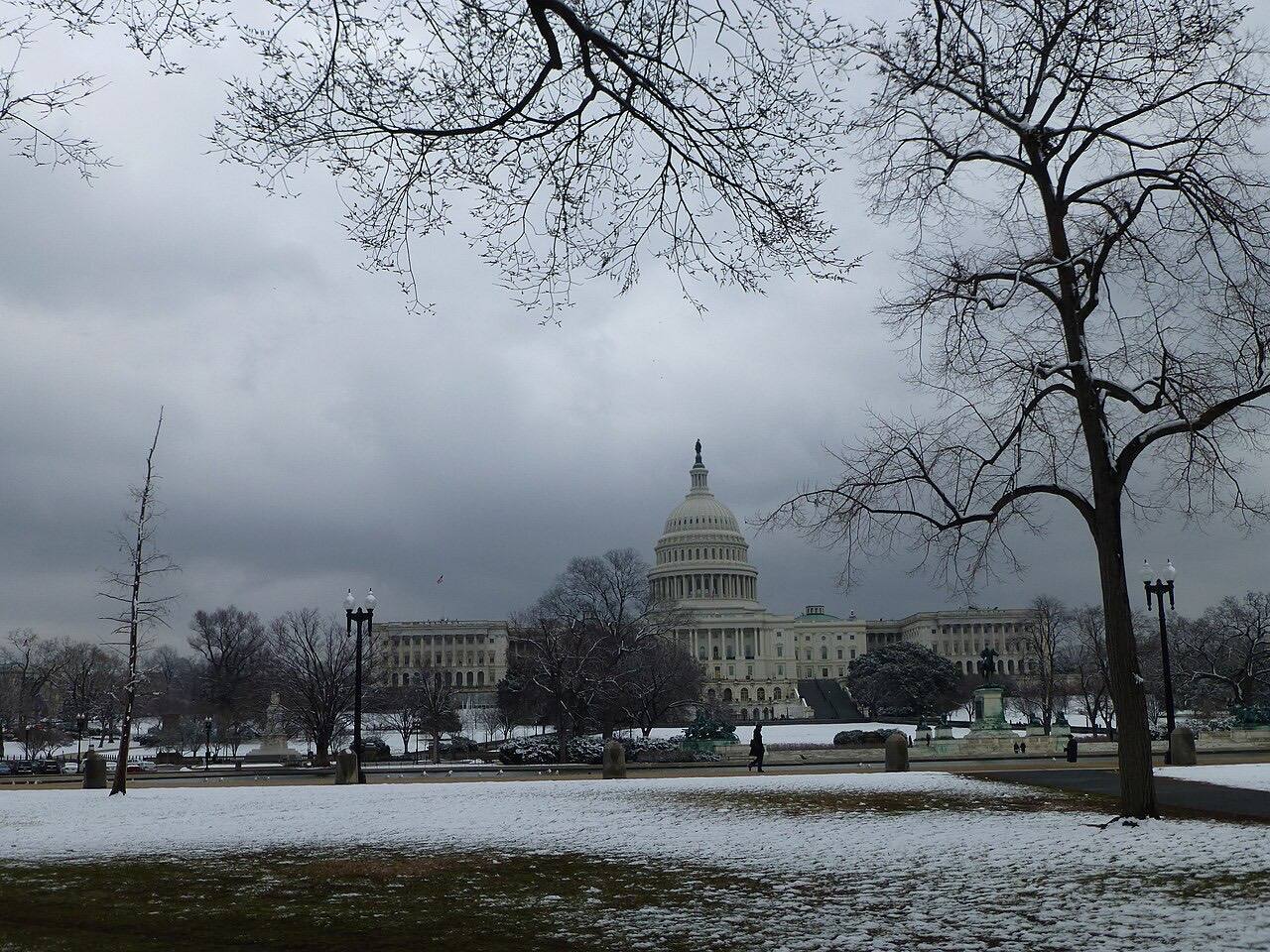 Winter shot of the United States Capitol Building framed by a tree.