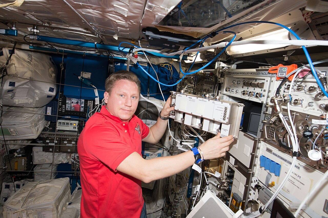 ISS-56 Sergey Prokopyev works in the Columbus module