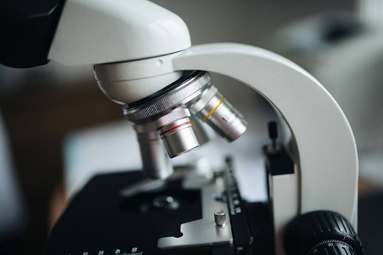 Close-up of the objective lenses of a microscope