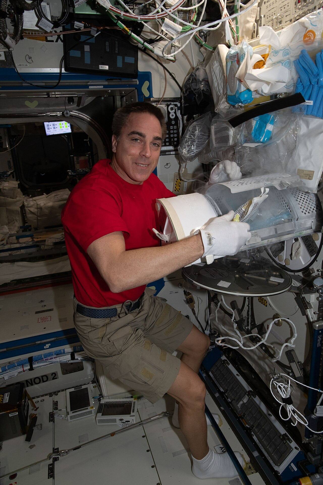 ISS 63 Chris Cassidy prepares to stow biological samples